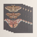 Moth Wings IV Wrapping Paper Gallery Image 3