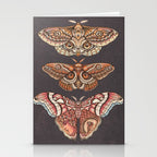 Moth Wings IV Stationery Card Gallery Image 2