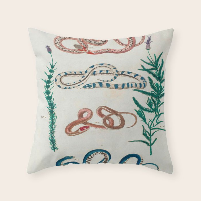 Seba Albertus Snakes With Plants  Throw Pillow Gallery Image 6