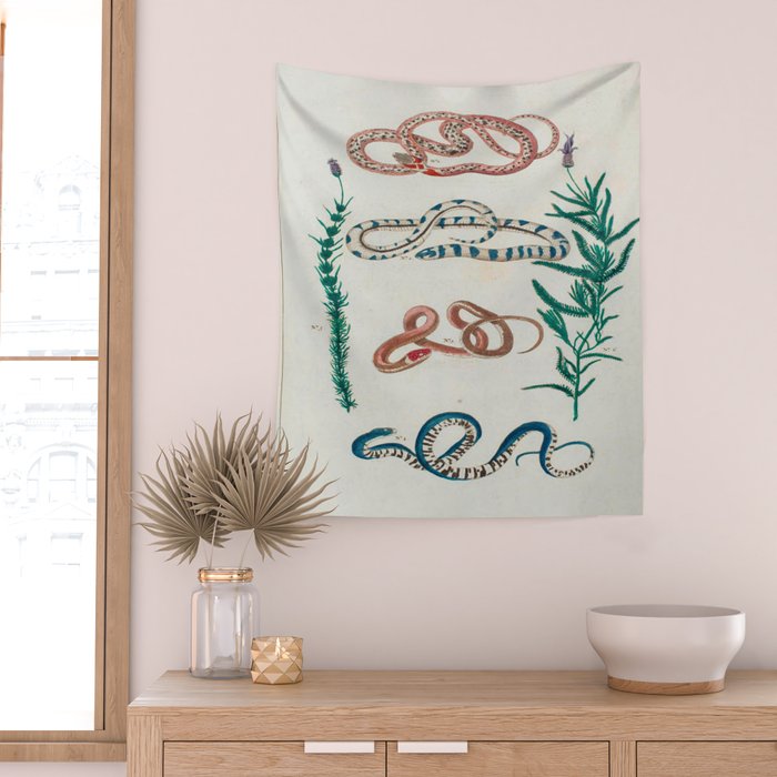 Seba Albertus Snakes With Plants  Wall Tapestry Gallery Image 2