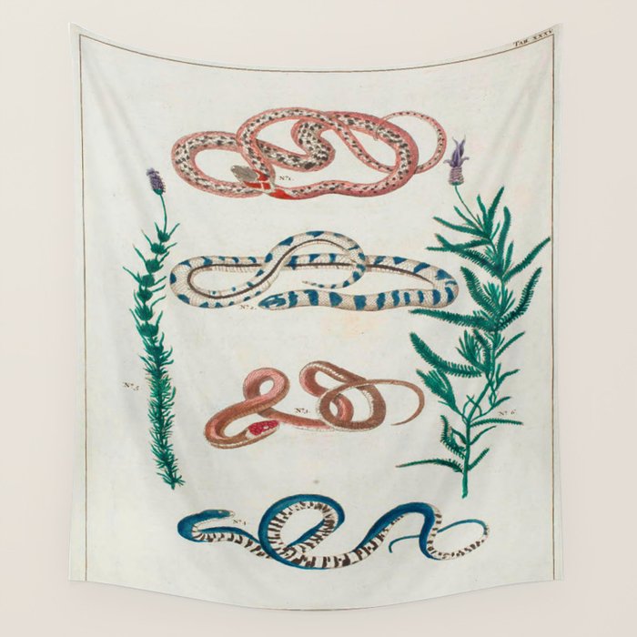 Seba Albertus Snakes With Plants  Wall Tapestry Gallery Image 4