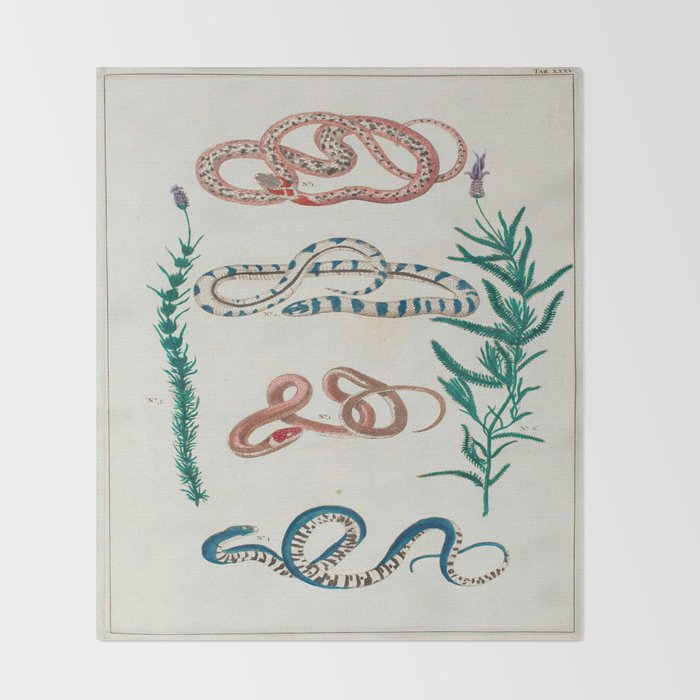 Seba Albertus Snakes With Plants  Throw Blanket Gallery Image 2