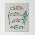 Seba Albertus Snakes With Plants  Throw Blanket Gallery Image 2