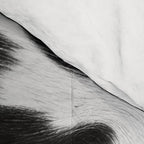 Black and White Rustic Cow Print Comforter Gallery Image 4