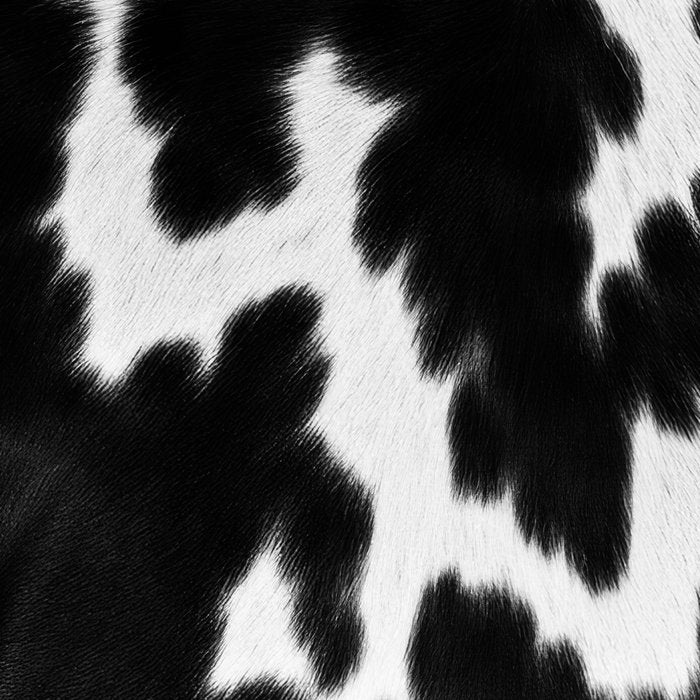 Black and White Rustic Cow Print Coffee Mug Gallery Image 2