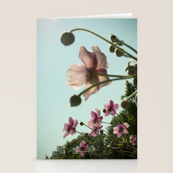 Aloft - rose pink autumn flower photo floral  Stationery Card Gallery Image 1