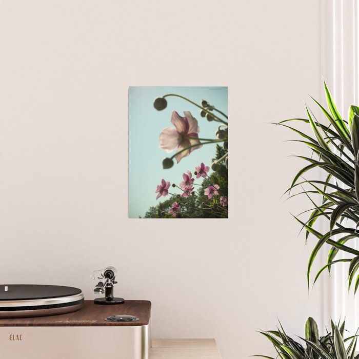 Aloft - rose pink autumn flower photo floral  Poster Gallery Image 2