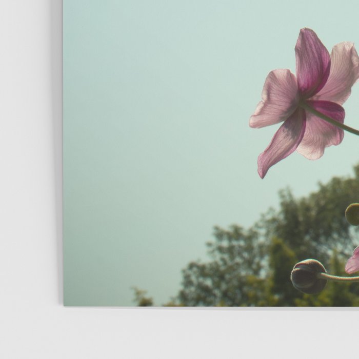 Aloft - rose pink autumn flower photo floral  Poster Gallery Image 3