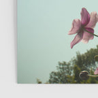Aloft - rose pink autumn flower photo floral  Poster Gallery Image 3