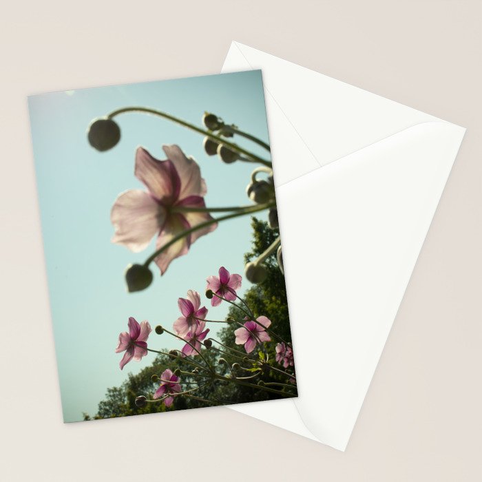 Aloft - rose pink autumn flower photo floral  Stationery Card Gallery Image 2