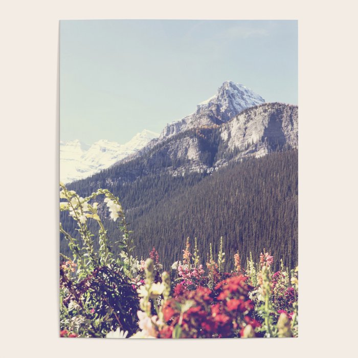 Mountain Wildflowers - Banff Nature, Landscape Photography Poster Gallery Image 4