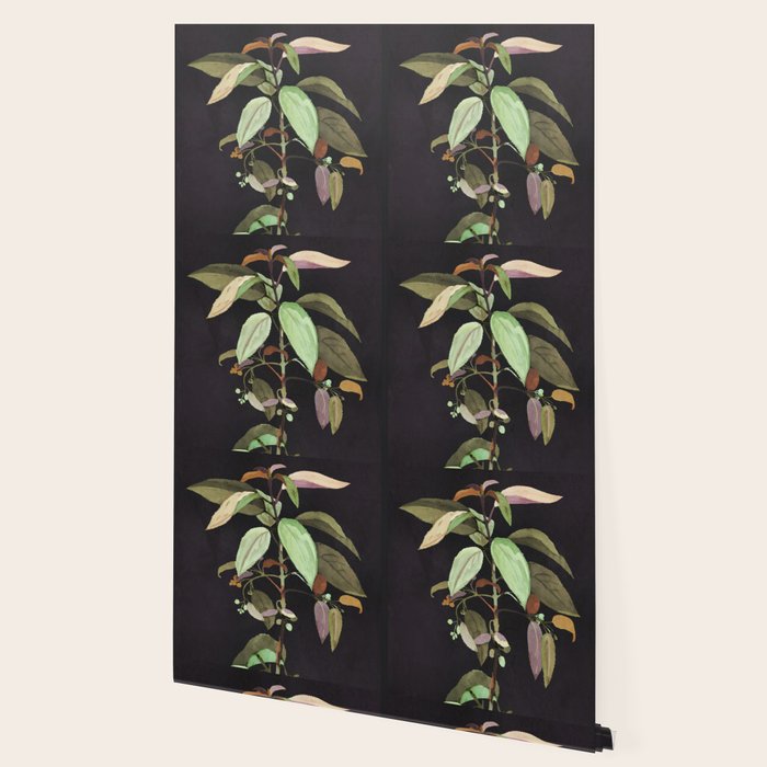 Night Plant Wallpaper Gallery Image 2