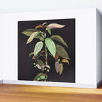 Night Plant Wall Mural Gallery Image 2