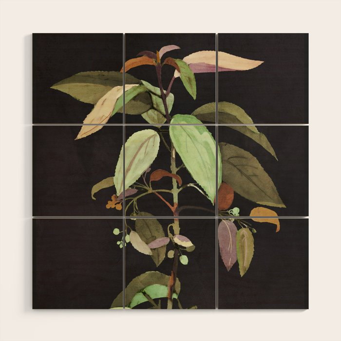 Night Plant Wood Wall Art Gallery Image 1