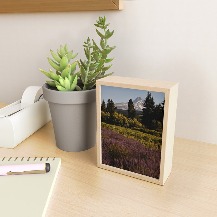 Mount Hood Lavender Farm Mini Art Print Gallery Image 2