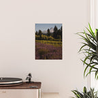 Mount Hood Lavender Farm Poster Gallery Image 2