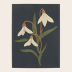 Snowdrops Poster Gallery Image 4