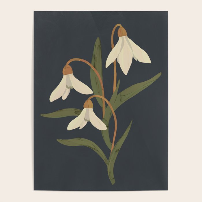 Snowdrops Poster Gallery Image 1