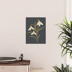 Snowdrops Poster Gallery Image 2