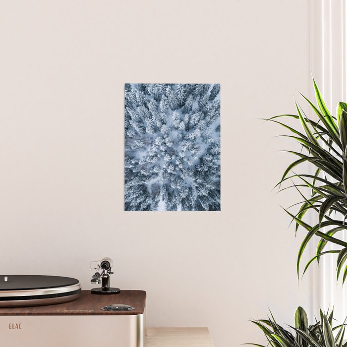 Winter Pine Forest Poster Gallery Image 2