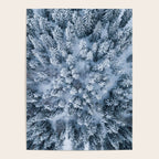 Winter Pine Forest Poster Gallery Image 4