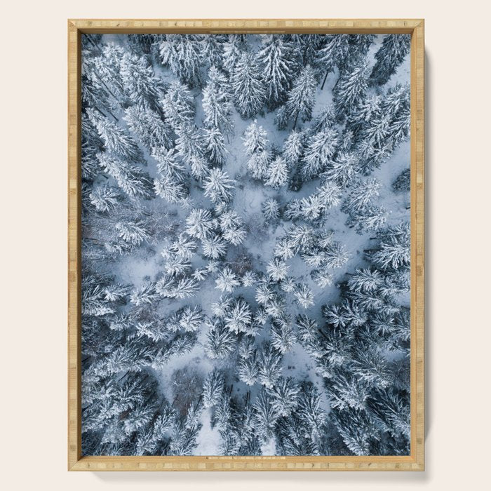 Winter Pine Forest Serving Tray Gallery Image 1