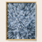 Winter Pine Forest Serving Tray Gallery Image 1