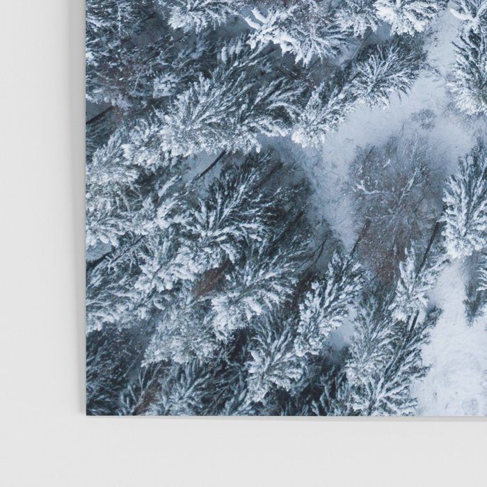 Winter Pine Forest Poster Gallery Image 3