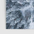Winter Pine Forest Poster Gallery Image 3