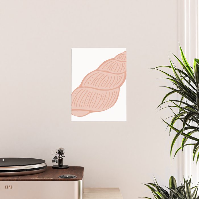 Sea Shell 3 of 4 Poster Gallery Image 2