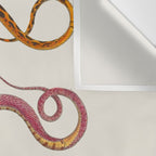 Albertus Seba Snakes Illustration Leopard Snake  Wall Tapestry Gallery Image 3