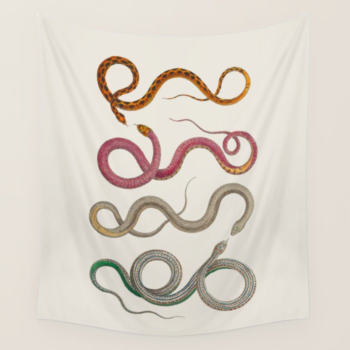Albertus Seba Snakes Illustration Leopard Snake  Wall Tapestry Gallery Image 4