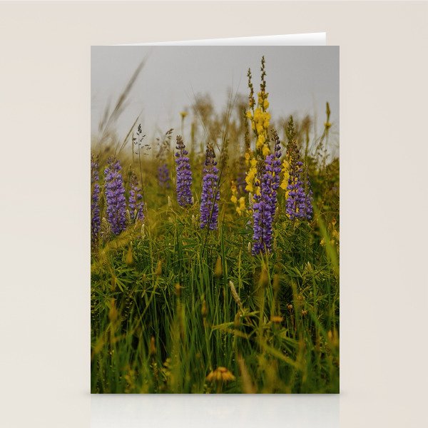 Front Range Flora III Stationery Card Gallery Image 1