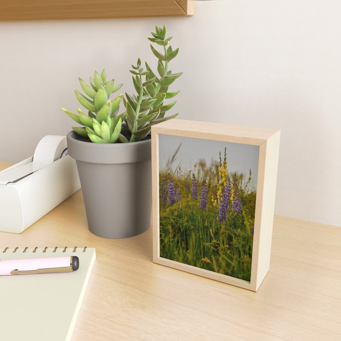 Front Range Flora III Mini Art Print Gallery Image 2