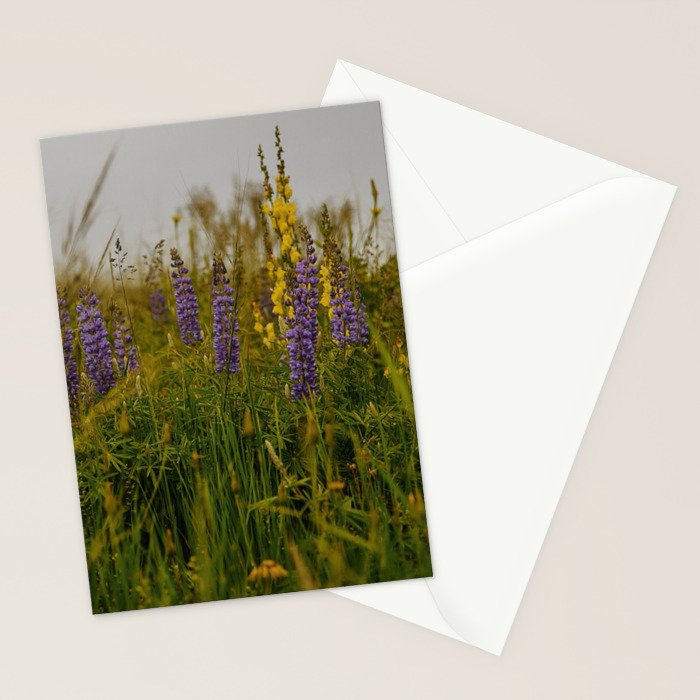 Front Range Flora III Stationery Card Gallery Image 2