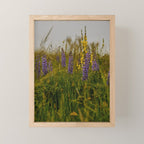 Front Range Flora III Mini Art Print Gallery Image 1