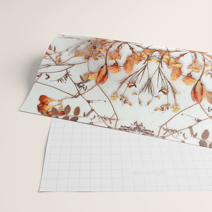 Delicate Skull Wrapping Paper Gallery Image 2