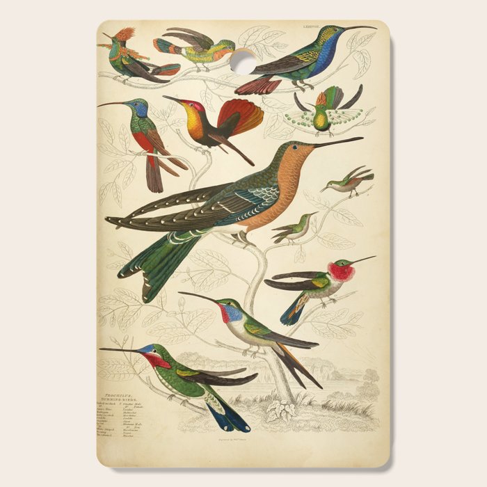 Hummingbirds from The Edinburgh Journal, 1835 (benefitting The Nature Conservancy) Cutting Board Gallery Image 1