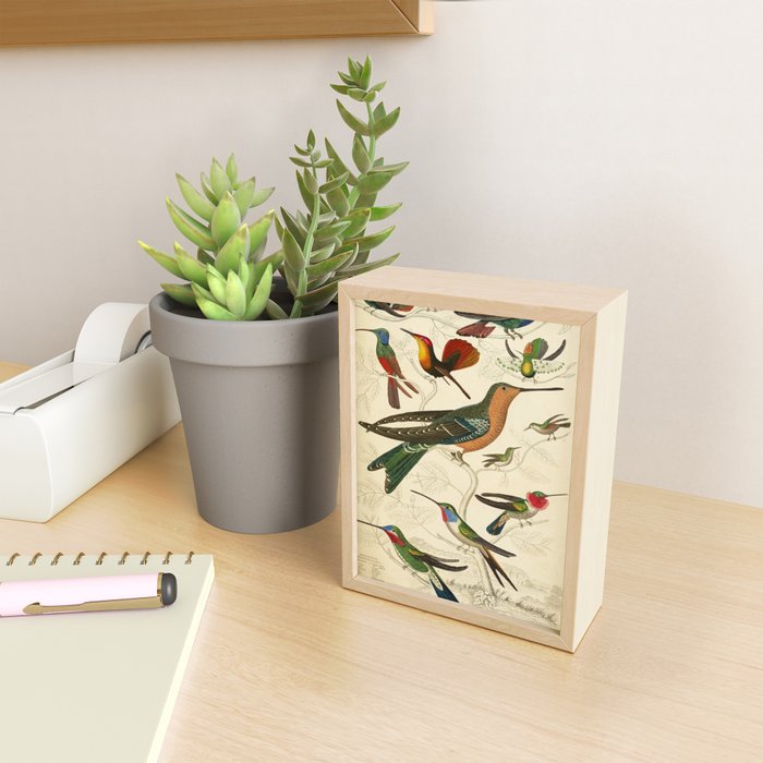 Hummingbirds from The Edinburgh Journal, 1835 (benefitting The Nature Conservancy) Mini Art Print Gallery Image 2