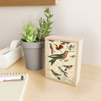 Hummingbirds from The Edinburgh Journal, 1835 (benefitting The Nature Conservancy) Mini Art Print Gallery Image 2