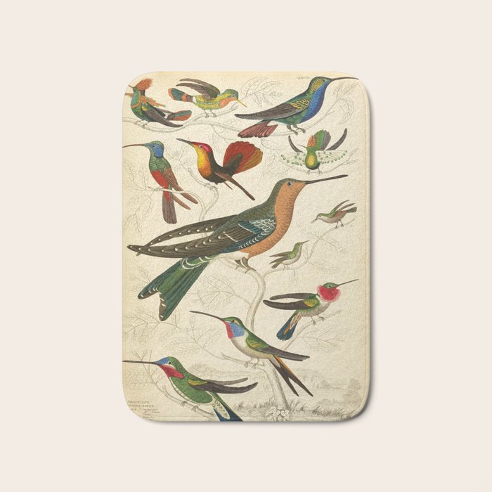 Hummingbirds from The Edinburgh Journal, 1835 (benefitting The Nature Conservancy) Bath Mat Gallery Image 1