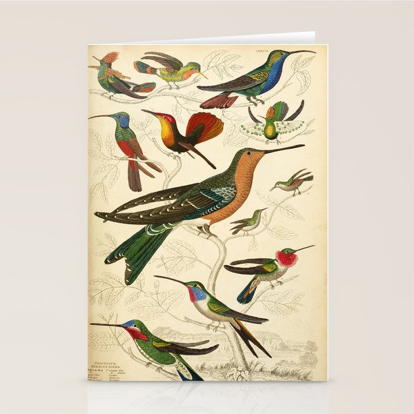 Hummingbirds from The Edinburgh Journal, 1835 (benefitting The Nature Conservancy) Stationery Card Gallery Image 2