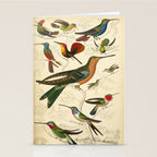 Hummingbirds from The Edinburgh Journal, 1835 (benefitting The Nature Conservancy) Stationery Card Gallery Image 2