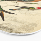Hummingbirds from The Edinburgh Journal, 1835 (benefitting The Nature Conservancy) Bath Mat Gallery Image 3