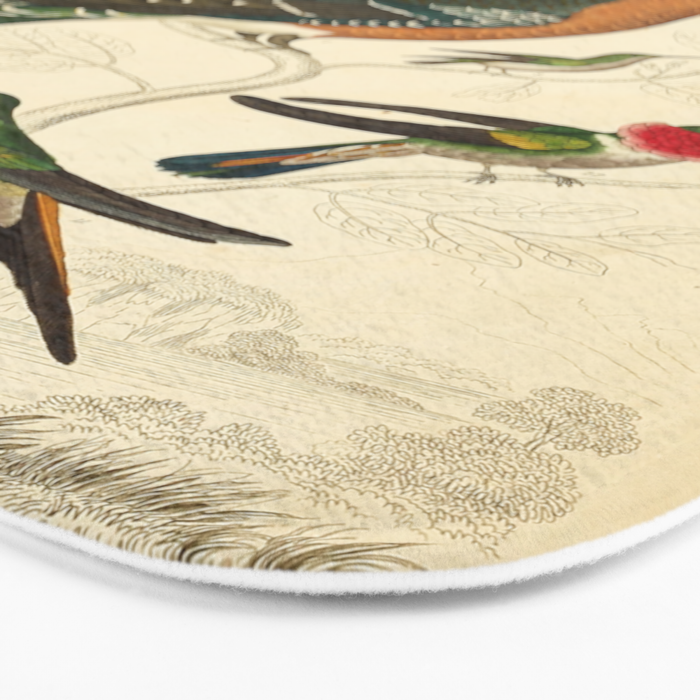 Hummingbirds from The Edinburgh Journal, 1835 (benefitting The Nature Conservancy) Bath Mat Gallery Image 3