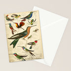 Hummingbirds from The Edinburgh Journal, 1835 (benefitting The Nature Conservancy) Stationery Card Gallery Image 2