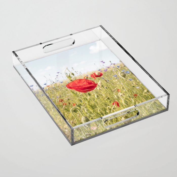 Wildflower Field | Poppy Flower in a Garden in Holland Art Print | Floral Summer Photography Acrylic Tray Gallery Image 1