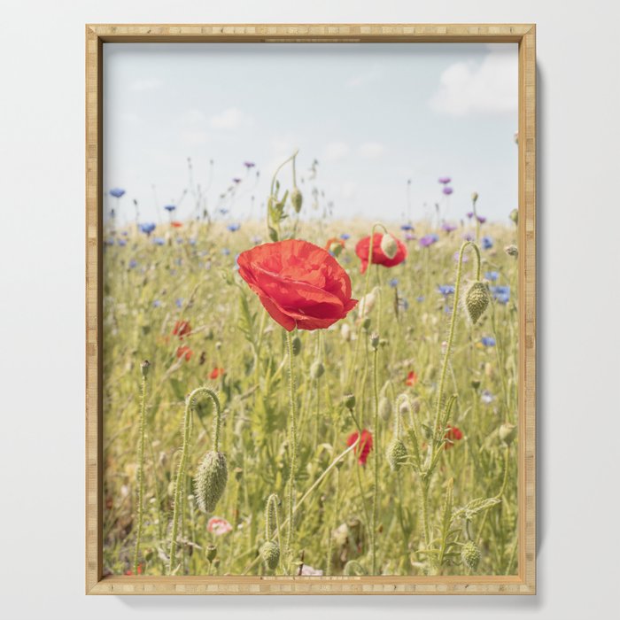 Wildflower Field | Poppy Flower in a Garden in Holland Art Print | Floral Summer Photography Serving Tray Gallery Image 1