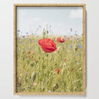 Wildflower Field | Poppy Flower in a Garden in Holland Art Print | Floral Summer Photography Serving Tray Gallery Image 1