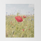 Wildflower Field | Poppy Flower in a Garden in Holland Art Print | Floral Summer Photography Throw Blanket Gallery Image 2